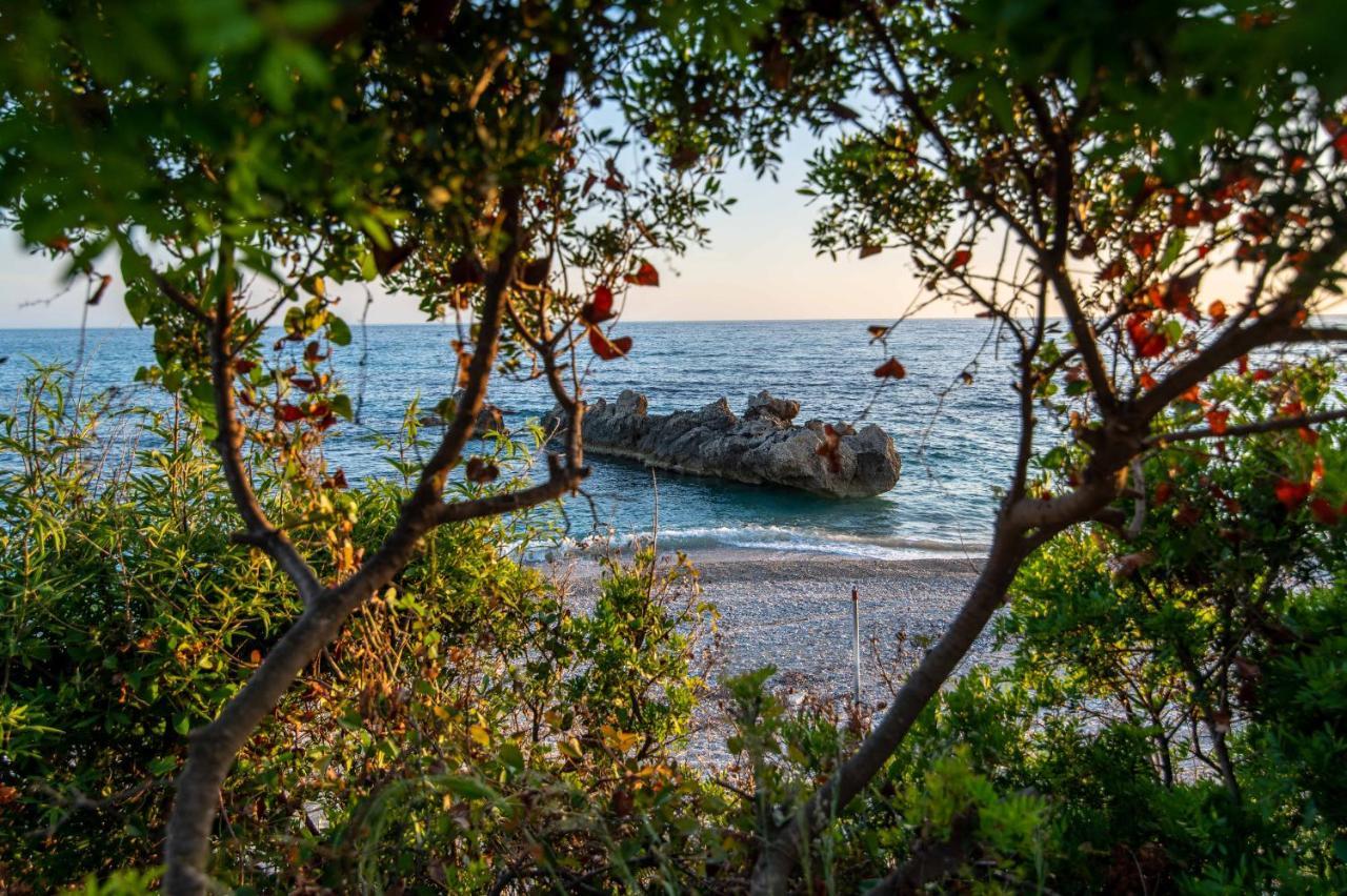 The Happiness Of Vangelis Paralia Vrachou Buitenkant foto